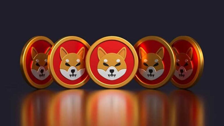 shiba-1